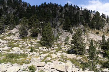 Valle de Aran