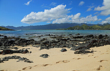 Fototapeta na wymiar Volcanic rocks on Moku Nui beach - Oahu, Hawaii