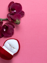 Wedding ring in a red box and red orchid on pink background. Valentine's Day.