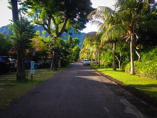 Natural Beautiful Tropical Sunny Morning On The Road With Trees And Mountain View Of The Resort At Pemuteran, North Bali, Indonesia