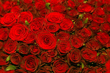 Red roses flower bouqet close up texture.