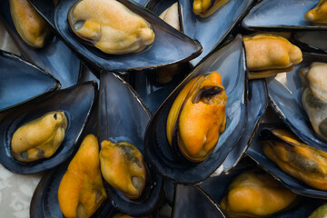 Plate of steamed mussels. Mediterranean cuisine. sea food. © ROM