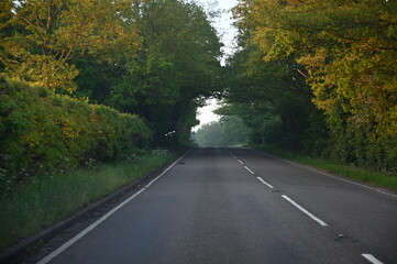 Fototapeta premium Road in autumn forest