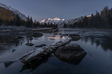 Nature Of Russia. Blue Hour On The Lower Multinsky Lake Near The Spurs Of Katun Ridge. Fallen Frostbitten Tree And Reflecting White Peaks Of Siberian Mountains, View From The Multa River. - 403252438