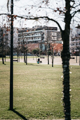 Fototapete bei efototapeten.de bestellen   