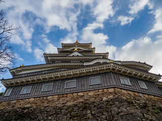 Obraz premium 岡山城