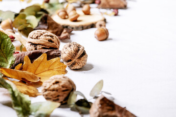 Composition with yellow maple leaves, eucalyptus branches