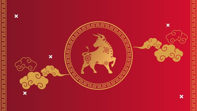 happy chinese new year with golden ox and clouds