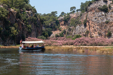 A tourist boat stands in front of the mountains and a flower field
