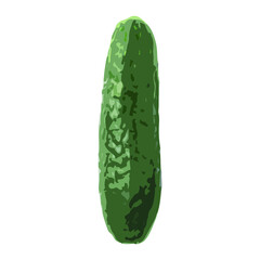 Low-level vector of a cucumber