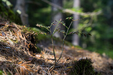 Südtirol Herbst Reise