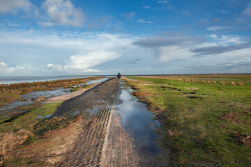 path to the sea
Peassens Moddergat Friesland