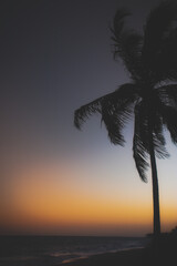 Ilha de Itaparica - Paisagens