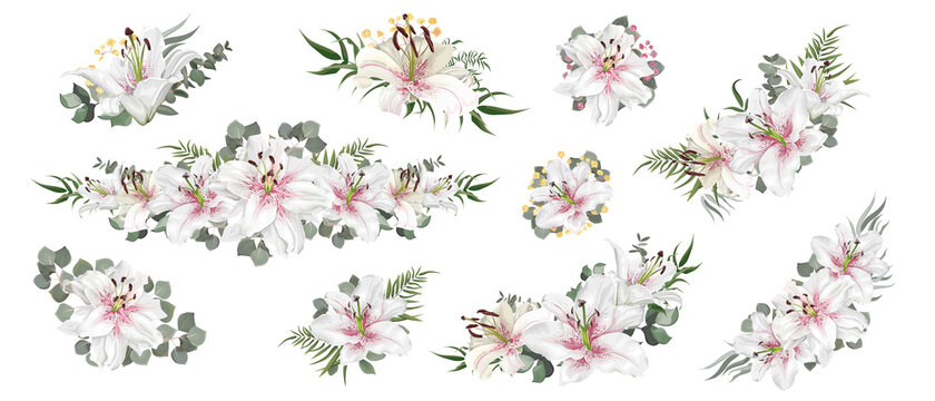 Vector set of compositions with white lilies © Alena