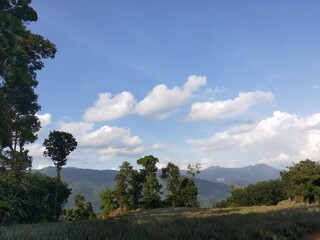 beautiful sky view with excellent landscape beauty