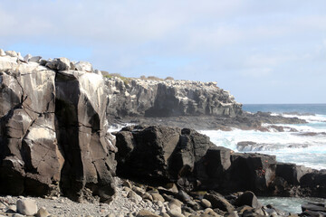  Punta Suarez coast, landscape on the island of Espanola, Galapagos Islands, Ecuador