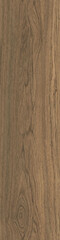 Obraz premium wood texture with natural pattern 