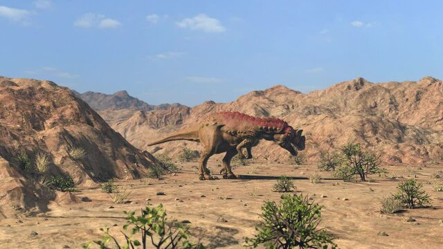 ceratosaurus walking in the desert, animation