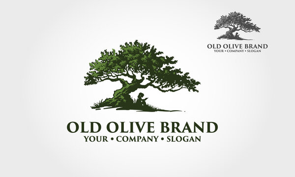 Old Olive Vector Logo Illustration. This logo template suitable for fashion, clothing businesses, olive oil labels, health care product, nutrition supplements, hotels, spa, beauty, salon, etc.