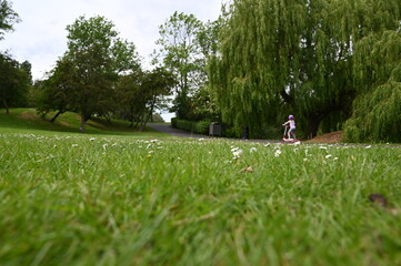 Child playing in the park