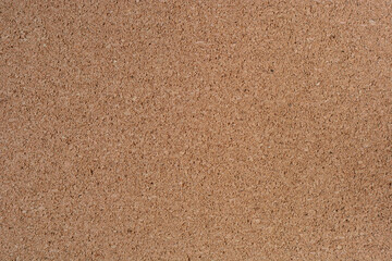 Surface with the texture of cork wood, close-up.