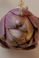 Obraz premium raw artichoke
