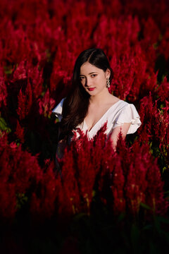 A beautiful Thai girl is having a good time during her holiday in a flower farm in Chiang Mai, northern part of Thailand