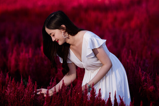 A beautiful Thai girl is having a good time during her holiday in a flower farm in Chiang Mai, northern part of Thailand