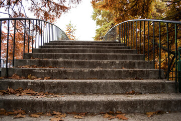 Bridge with steps covered with fallen leaves, autumn season. Herastrau park, Bucharest, Romania.