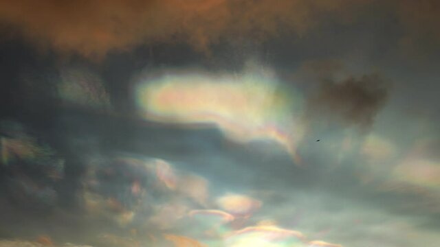 Nacreous polar stratospheric clouds bird flying