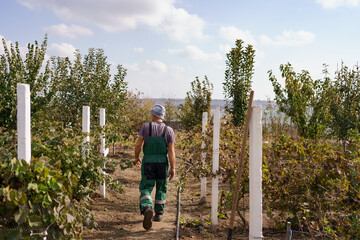 Back view of a farmer in motion walking through his garden with trees with sky and clouds on horizon © diignat