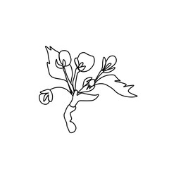 Vector Asian flower in doodle style Spring botanical illustration for Chinese New Year.Cherry blossom sakura  with black hand drawn line.Design cards,social media,weddings,stickers,coloring books.