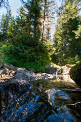 stream in the forest (Vorarlberg/Tyrol, Austria)