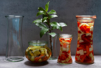 Glass jars of various shapes with vegetable pickles. Homemade food preserved. Few empty jars.