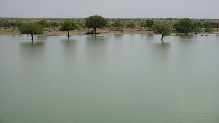 lake panorama with trees on blue sky