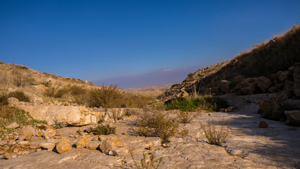 Fototapeta na wymiar landscape in the desert 