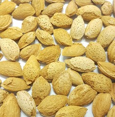 close up of almonds