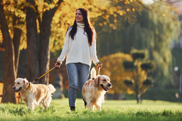 Brunette walks with two Golden Retriever dogs in the park at daytime