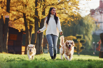 Brunette walks with two Golden Retriever dogs in the park at daytime
