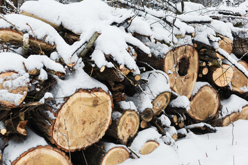 Chopped wood for heating. Wooden logs covered with snow
