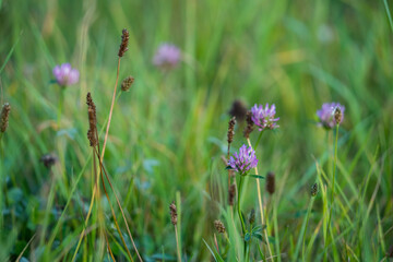 Natur Outdoor Herbst Rieselfelder