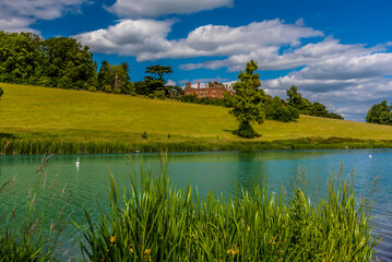 A view across the reeds of the River Chess near Latimer, UK