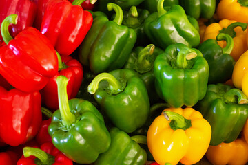 Red green yellow bell pepper background