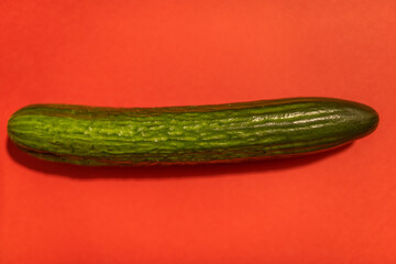 Cucumber isolated on a red background. Green vegetable for salad and food.