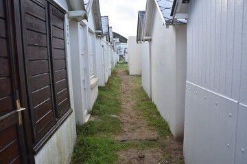 jullouville, sud-manche, vache, campagne