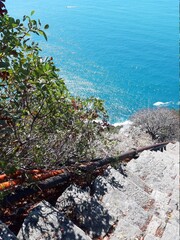 Cinque Terre, Italy - 09/02/2020: Beautiful landscape of a coastal fishing village, amazing view on many little colorful houses, traditional architecture of the little Italian town called Cinque Terre