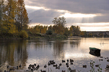 La promenade des canards