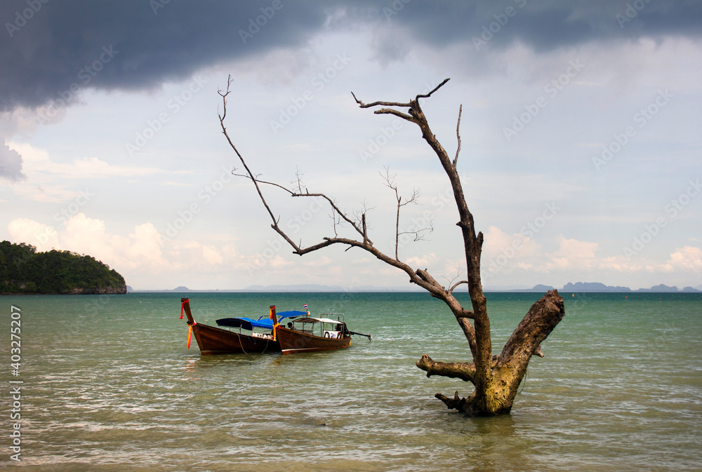 Poster boat on east railay bay beach, krabi province, thailand, asia