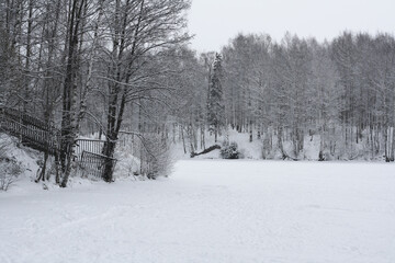 Winter landscape, frozen river and trees in the snow