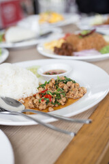 Spicy pork with chili fried in Thai style with rice on white plate